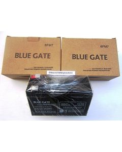 Blue Gate Ups Battery 12v9ah/20hr 